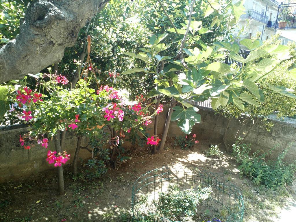 B&B A Casa Di Nonna Fondi Eksteriør bilde